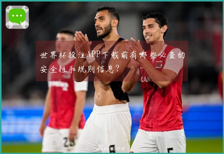 世界杯投注APP下载前有哪些必查的安全性和规则信息？