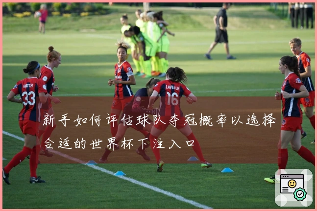 新手如何评估球队夺冠概率以选择合适的世界杯下注入口