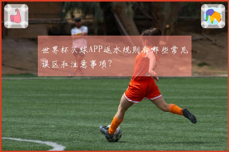 世界杯买球APP返水规则有哪些常见误区和注意事项？