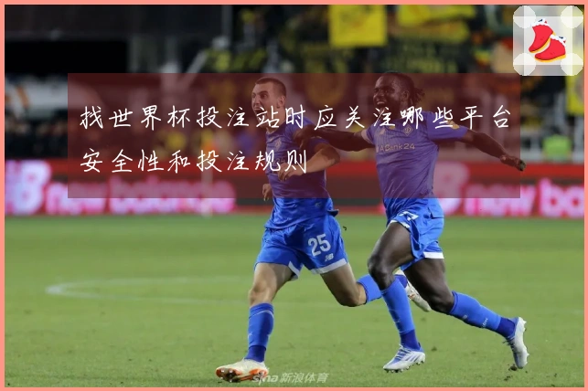 找世界杯投注站时应关注哪些平台安全性和投注规则