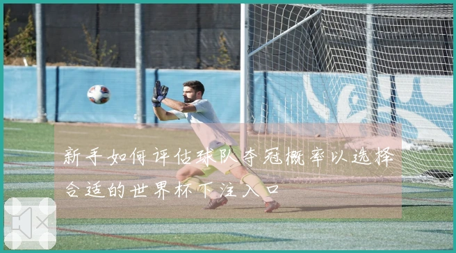 新手如何评估球队夺冠概率以选择合适的世界杯下注入口