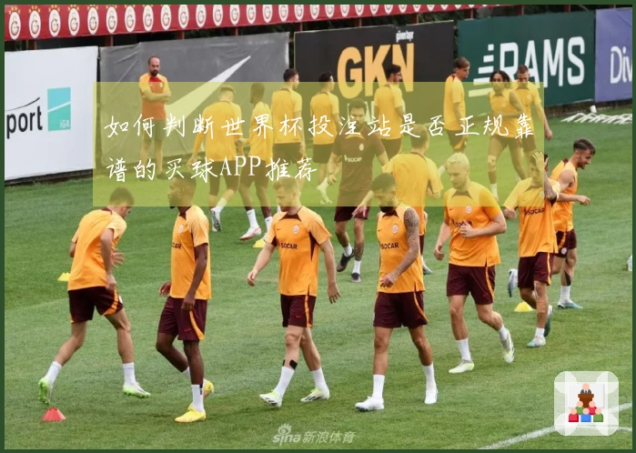 如何判断世界杯投注站是否正规靠谱的买球APP推荐